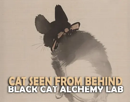 Cat Seen From Behind Perfume Oil