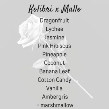 Kolibri x Mallo