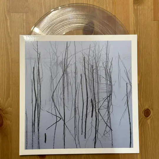 Olhava - Frozen Bloom