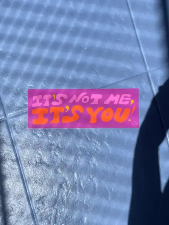 It's Not Me, It's You Bumper Sticker