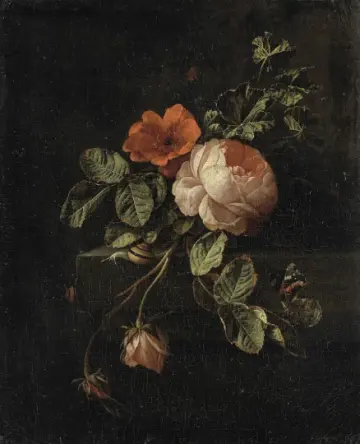 Rose Rouge (Rose) Perfume Layering Note