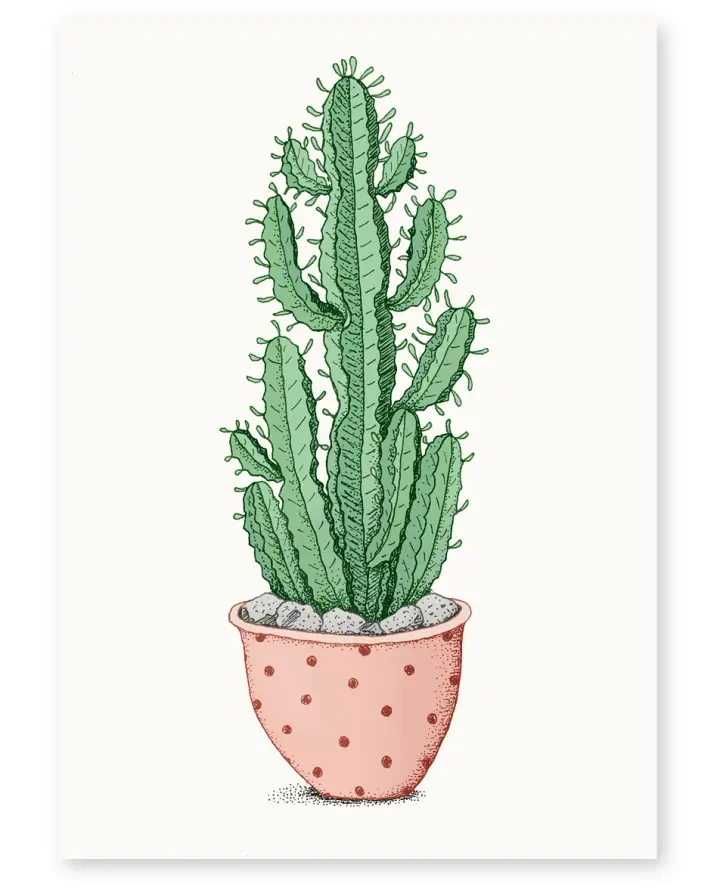 'Spotty Pot' Limited Edition Art Print