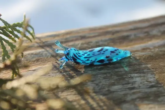 Lampwork Aqua Blue Glass Slug Figurine With Dots, Murano Inspired