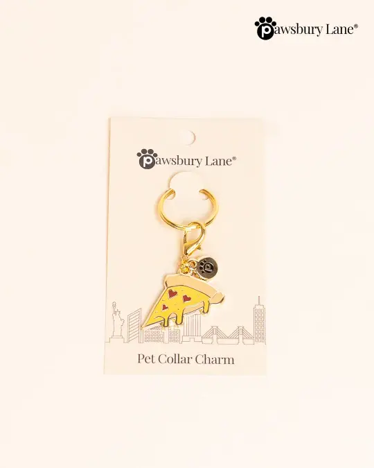Pet Collar Charm - Pizza