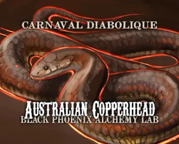 Australian Copperhead Perfume Oil