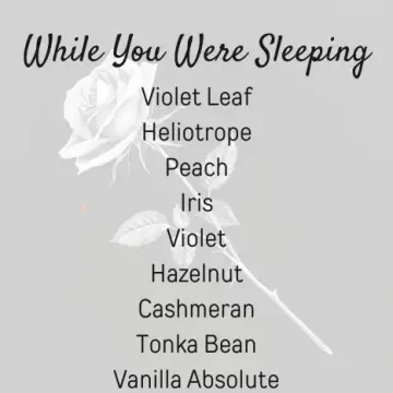 While You Were Sleeping