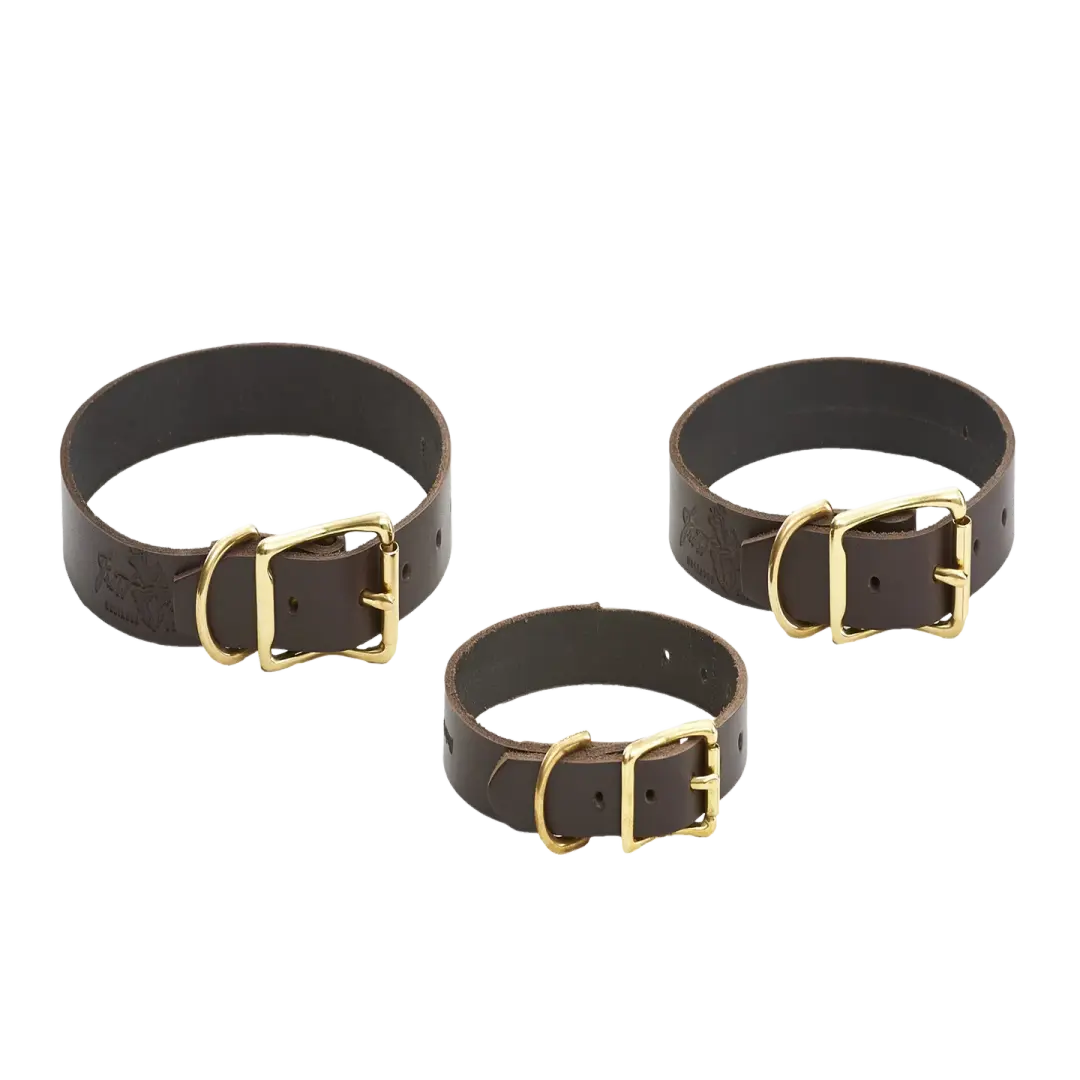 Dog Collars