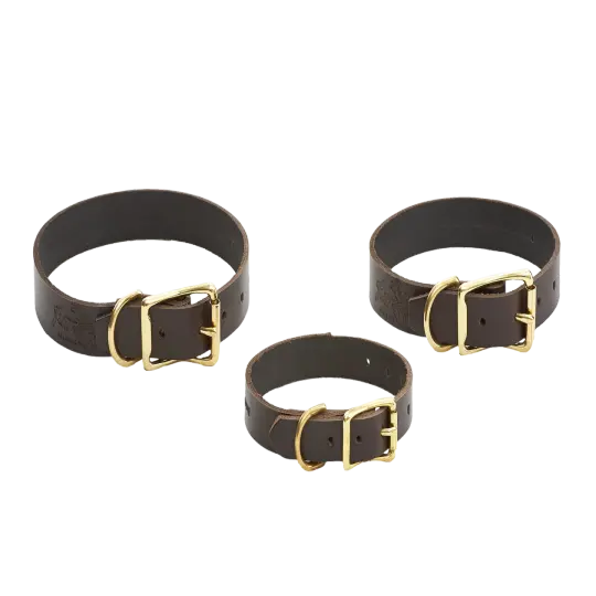 Dog Collars
