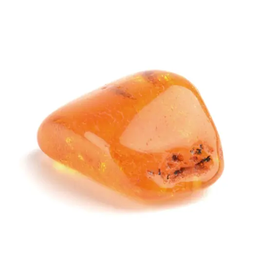 Baltic Sea Amber Nugget