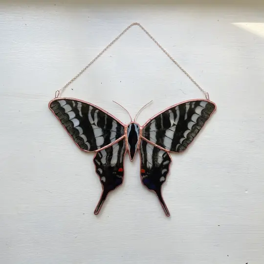 Zebra Swallowtail Butterfly