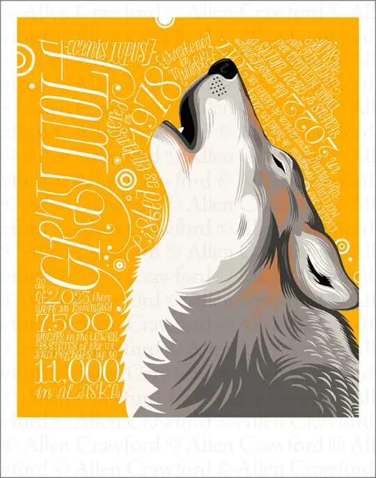 A Wild Promise: Gray Wolf