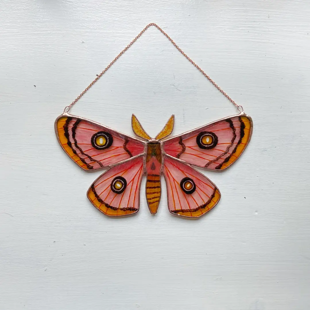 Roseate Emperor Moth
