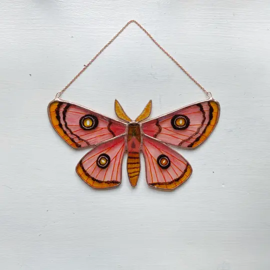 Roseate Emperor Moth
