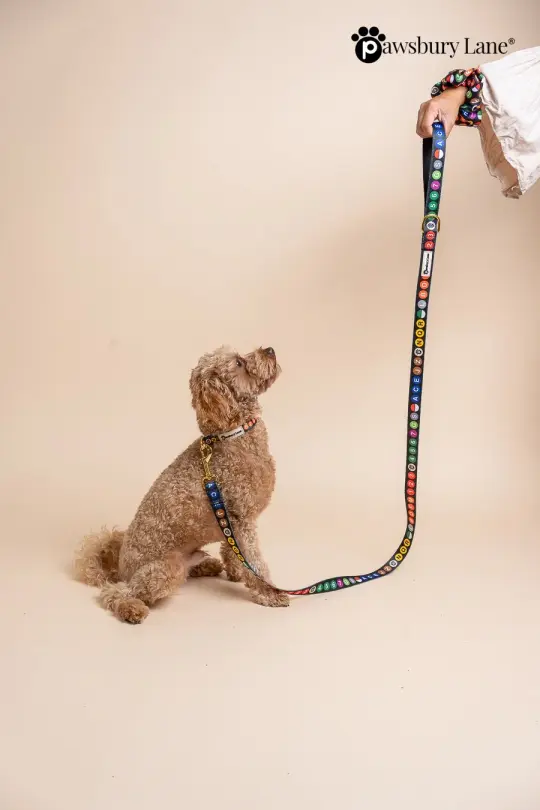 NYC Subway Series - Collar and Leash Set