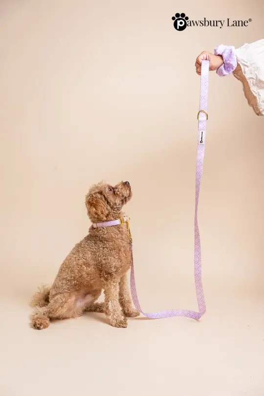 Lilac Diamonds - Collar and Leash Set