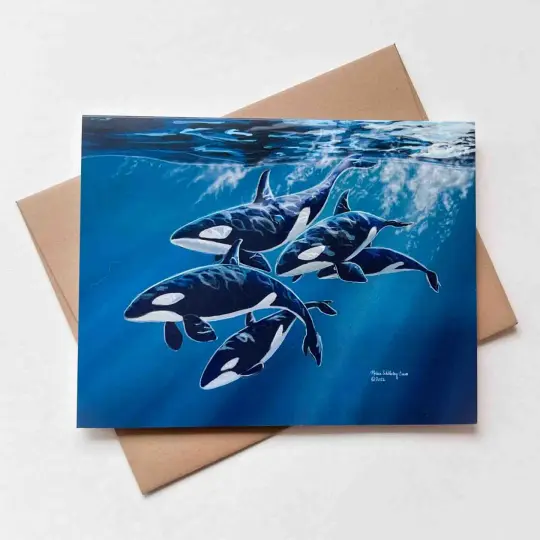 Five Orcas Card, Wholesale 6 Pack