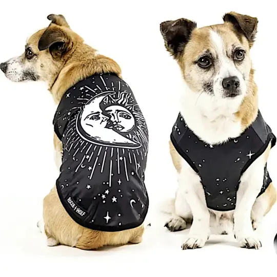 Sun & Moon Pet Vest in Black & White for Cats and Dogs