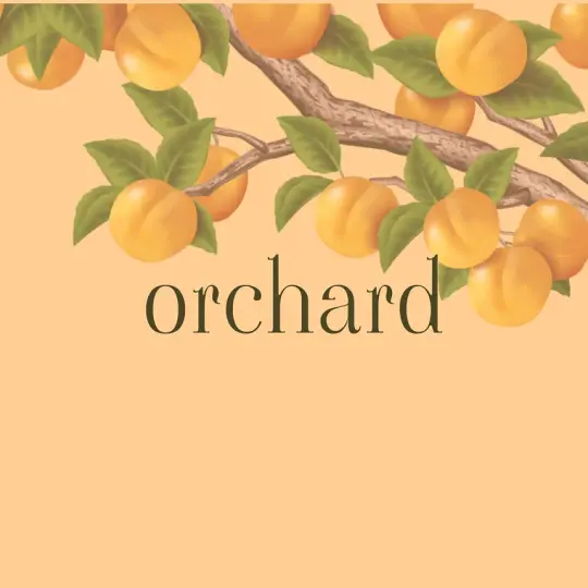 Orchard