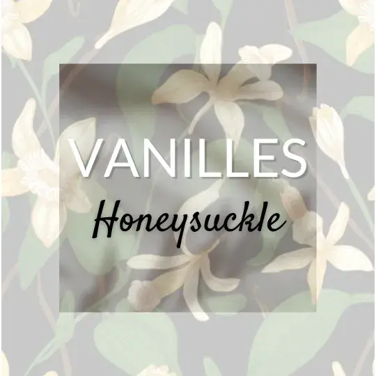 Honeysuckle Vanille