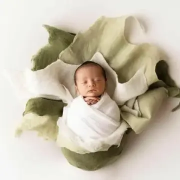 Shop the Look: Natural Green Tones Merino Silk Felted Layers – , set of 3 (reg $147)