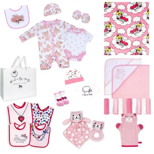 3 Stories Trading Company Baby Girl 28 Piece Infant Baby Gift Set