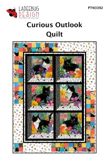 Curious Outlook Quilt