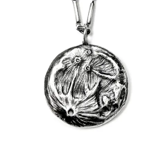 The Silver Moon: Small