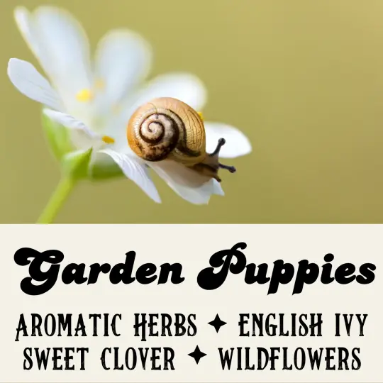 Garden Puppies