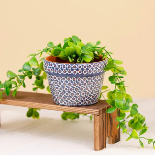 Capula Hand-Painted 4" Clay Planter