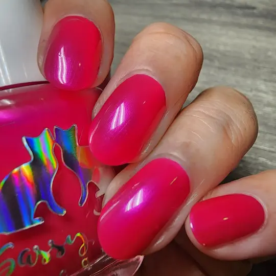 Sassy Cats Lacquer: "Paint Paw-traits" OVERSTOCK
