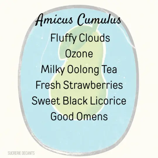 Amicus Cumulus