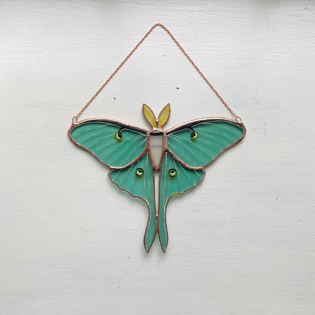 Luna Moth no.4