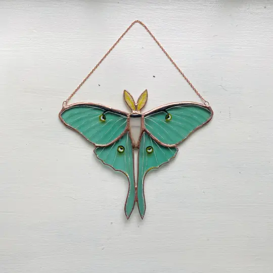 Luna Moth no.4