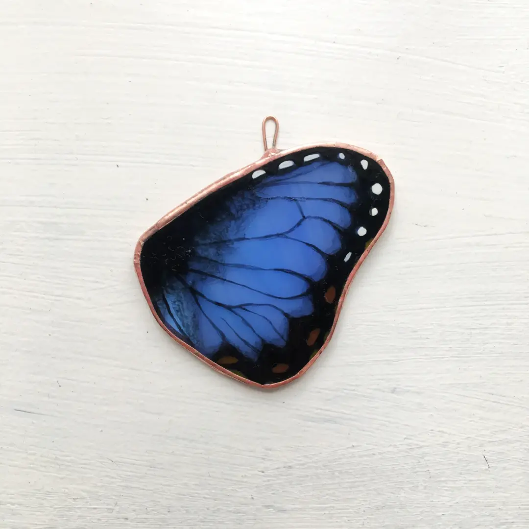 Blue Morpho Butterfly Wing