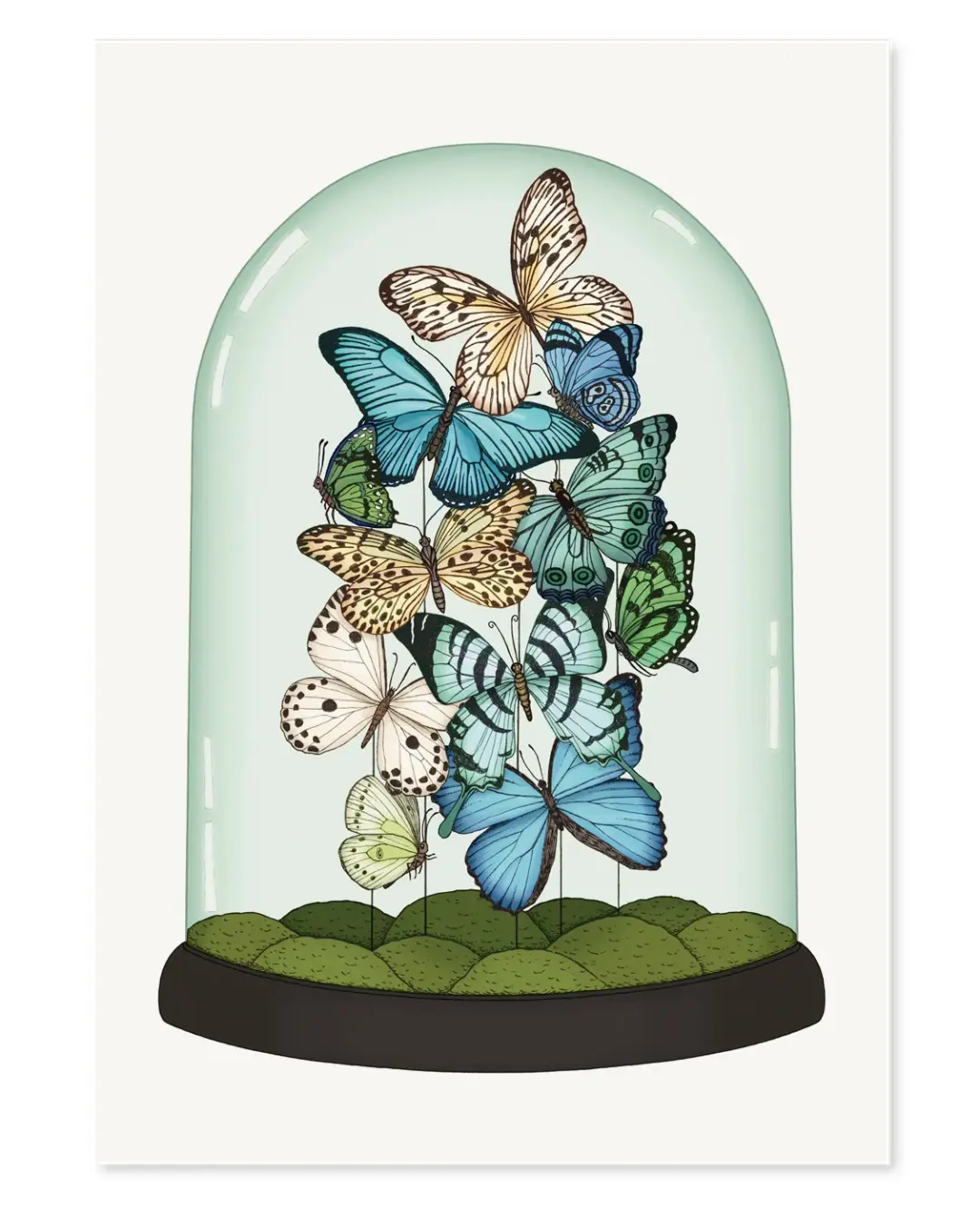 'Butterfly Dome' Limited Edition Art Print
