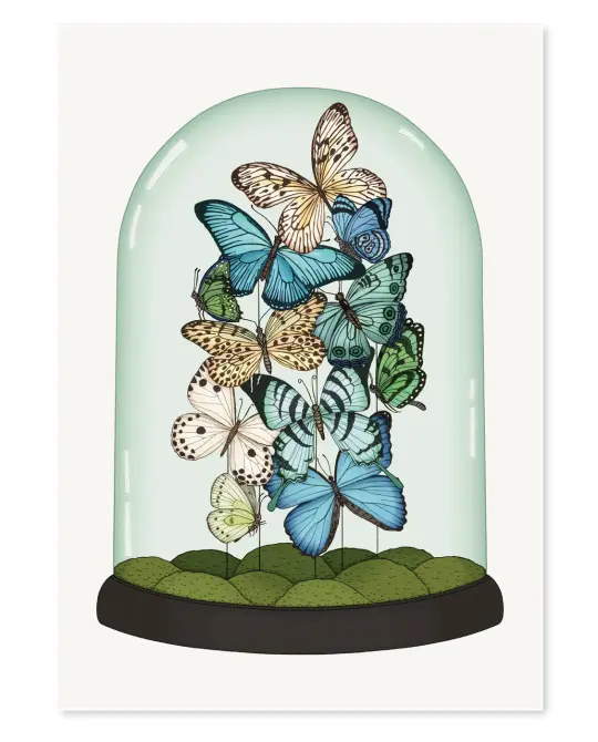 'Butterfly Dome' Limited Edition Art Print