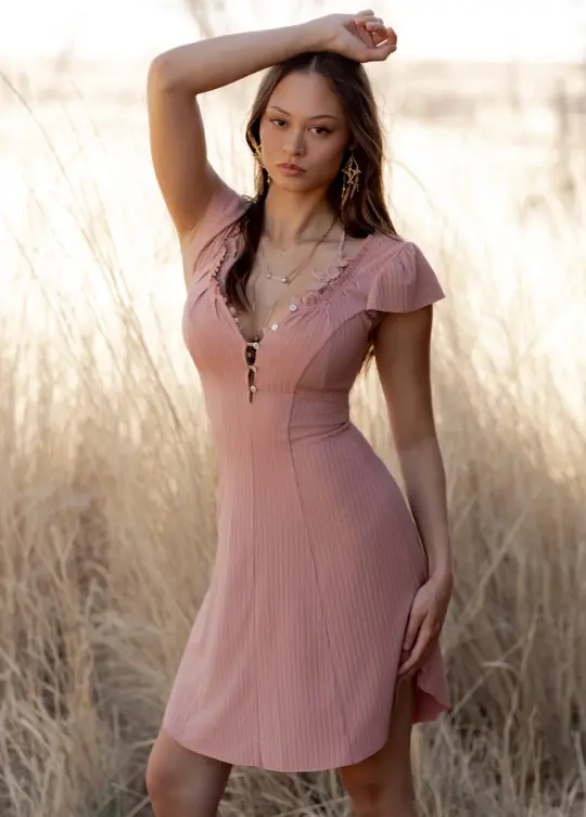 Emigene Dress in Rose