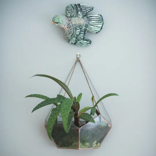 Half Teardrop Terrarium