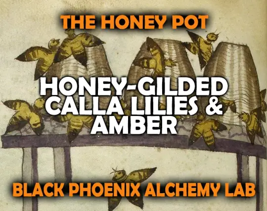 Honey-Gilded Calla Lilies and Amber Perfume Oil