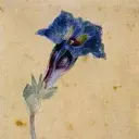 Alexander Pushkin-The Flower Perfume Oil