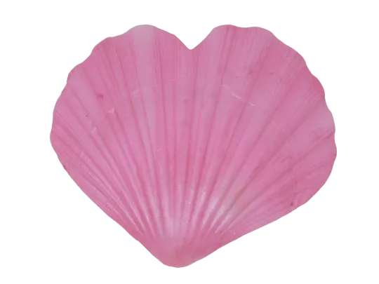 Heart Shaped Shell Trinket Dish