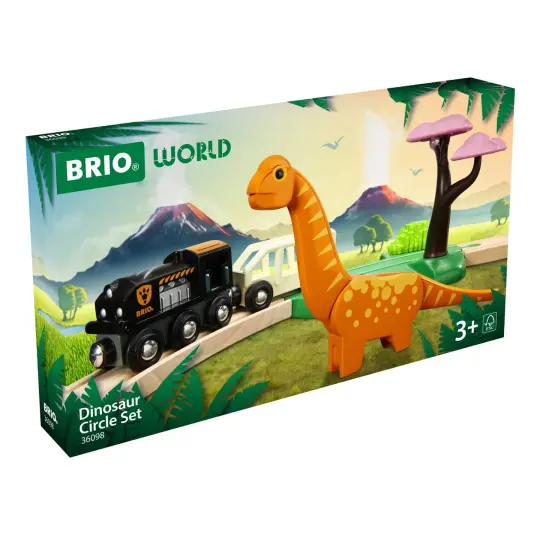 Dinosaur Circle Set