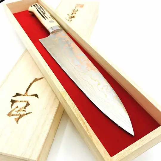 Takeshi Saji Blue #2 Rainbow Gyuto 210mm with Staghorn Handle