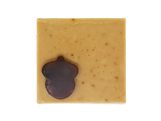 Autumn Edition Cafeomancy Soap