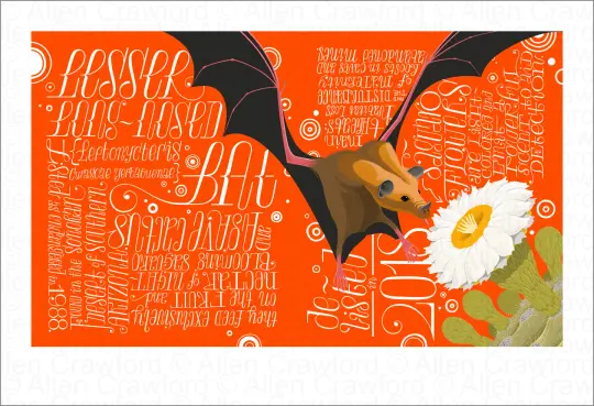 A Wild Promise: Lesser Long-Nosed Bat
