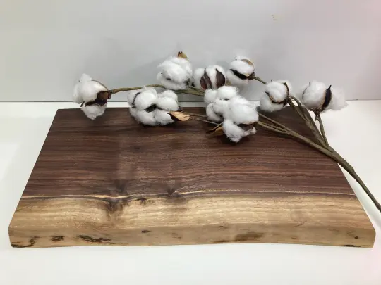 Small Live Edge Black Walnut Board (C)