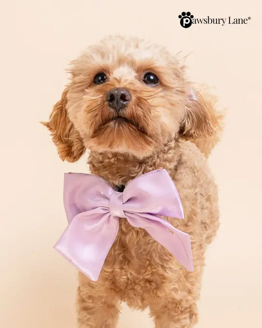 The Satin Collection - Dog Bow - Lilac