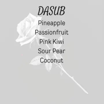 DASUB (Drinks at a Swim-Up Bar)