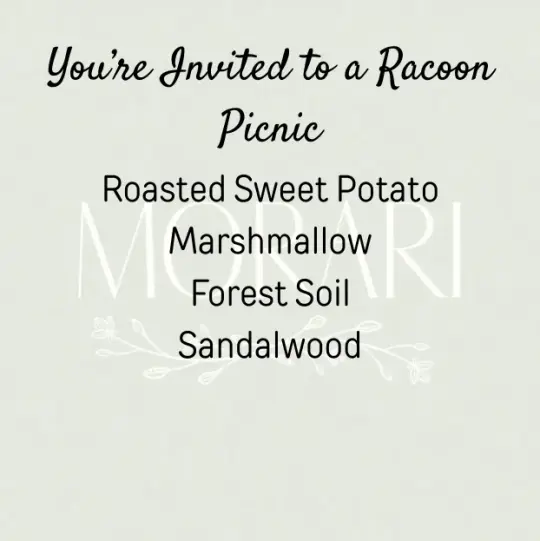 You’re Invited to a Raccoon Picnic