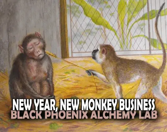 New Year, New Monkey Business Perfume Oil